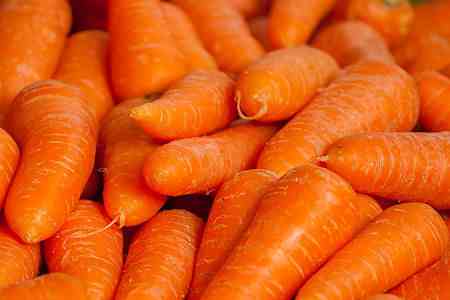 bronceador natural con zanahorias
