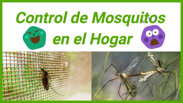 control de mosquitos en el hogar